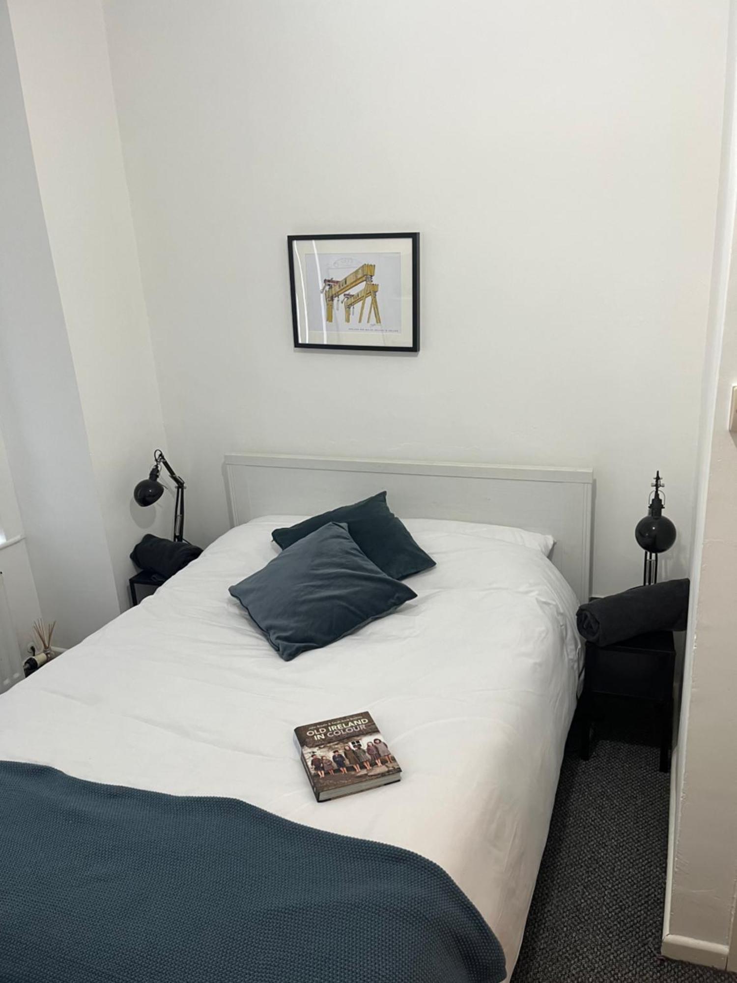 Loganberry Apartment Белфаст Екстериор снимка