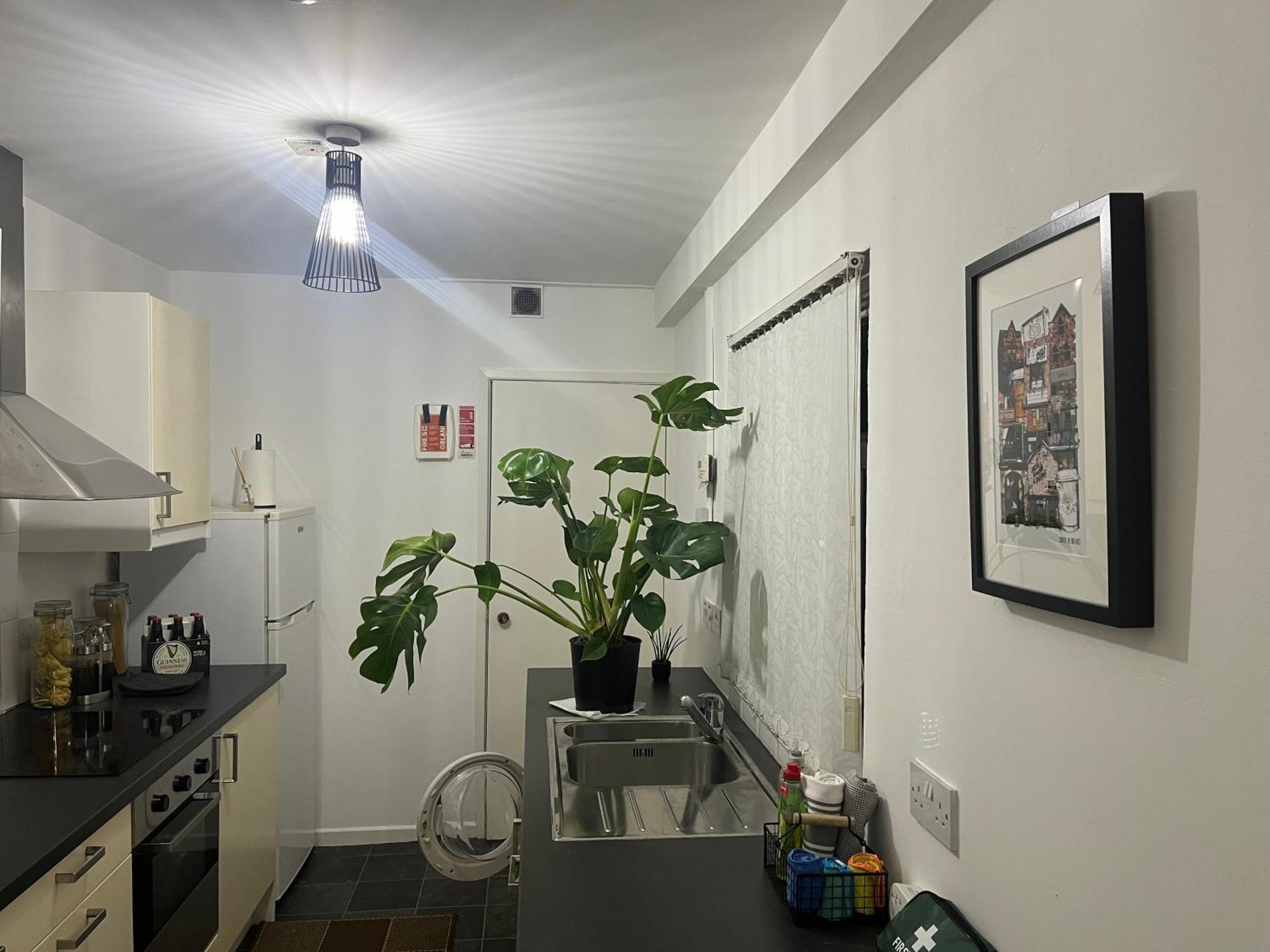 Loganberry Apartment Белфаст Екстериор снимка