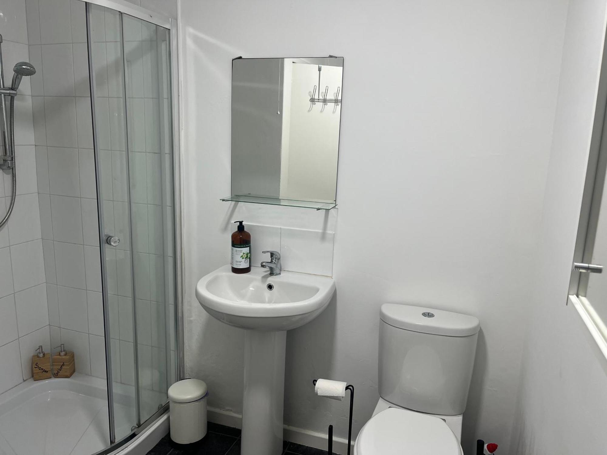 Loganberry Apartment Белфаст Екстериор снимка
